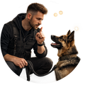 Dog Trainer Recommendation